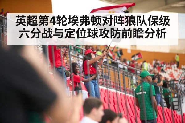 soccer stadium crowd