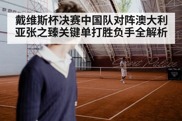 戴维斯杯决赛中国队对阵澳大利亚张之臻关键单打胜负手全解析