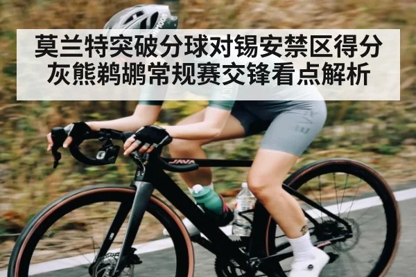 莫兰特突破分球对锡安禁区得分 灰熊鹈鹕常规赛交锋看点解析